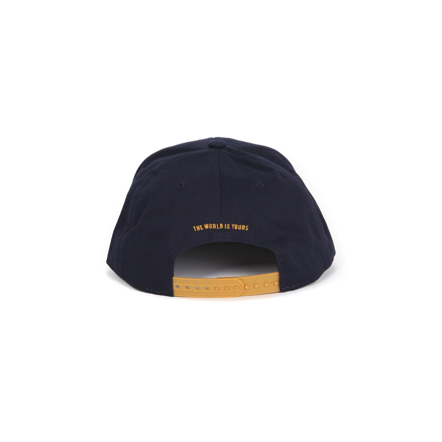 Akomplice Passport Hat Back