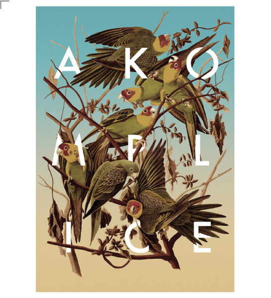 Akomplice Parrots Tee